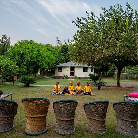 Jungle Cave Resort Sawai Madhopur Exterior foto