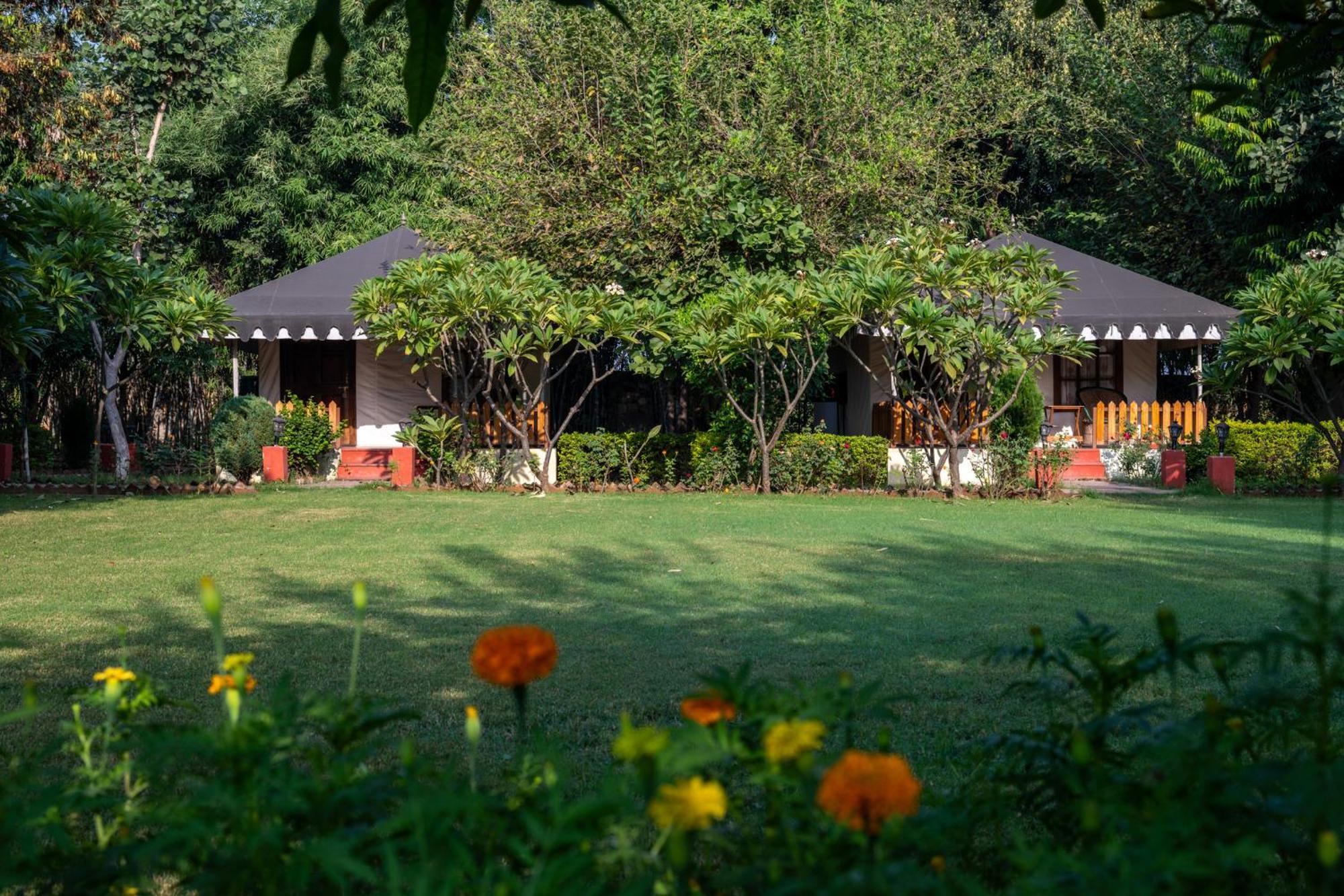 Jungle Cave Resort Sawai Madhopur Exterior foto